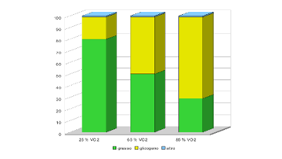 fitness: consumo grasso corporeo e intensità degli esercizi