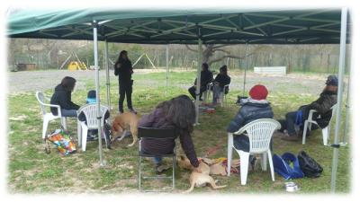 Tutti pronti nella nuova aula