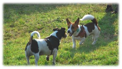 primo incontro fra rolli e mabrouk