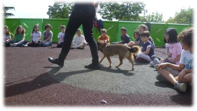 calma e silenzio per Stella