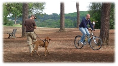 Prova n°2 del test BC4Z®