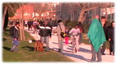 BC4Z: passeggiata al parco