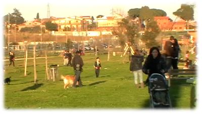 BC4Z passeggiata al parco