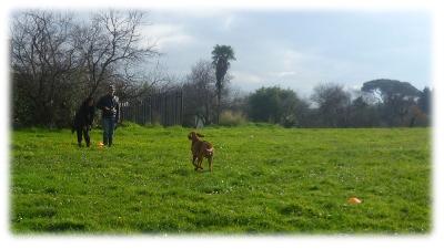 Raffaele e Manuela richiamano Numa