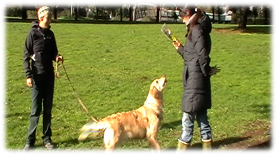 premiazione caccia al tesoro