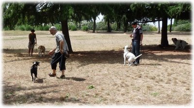 esercitazioni di stop and go